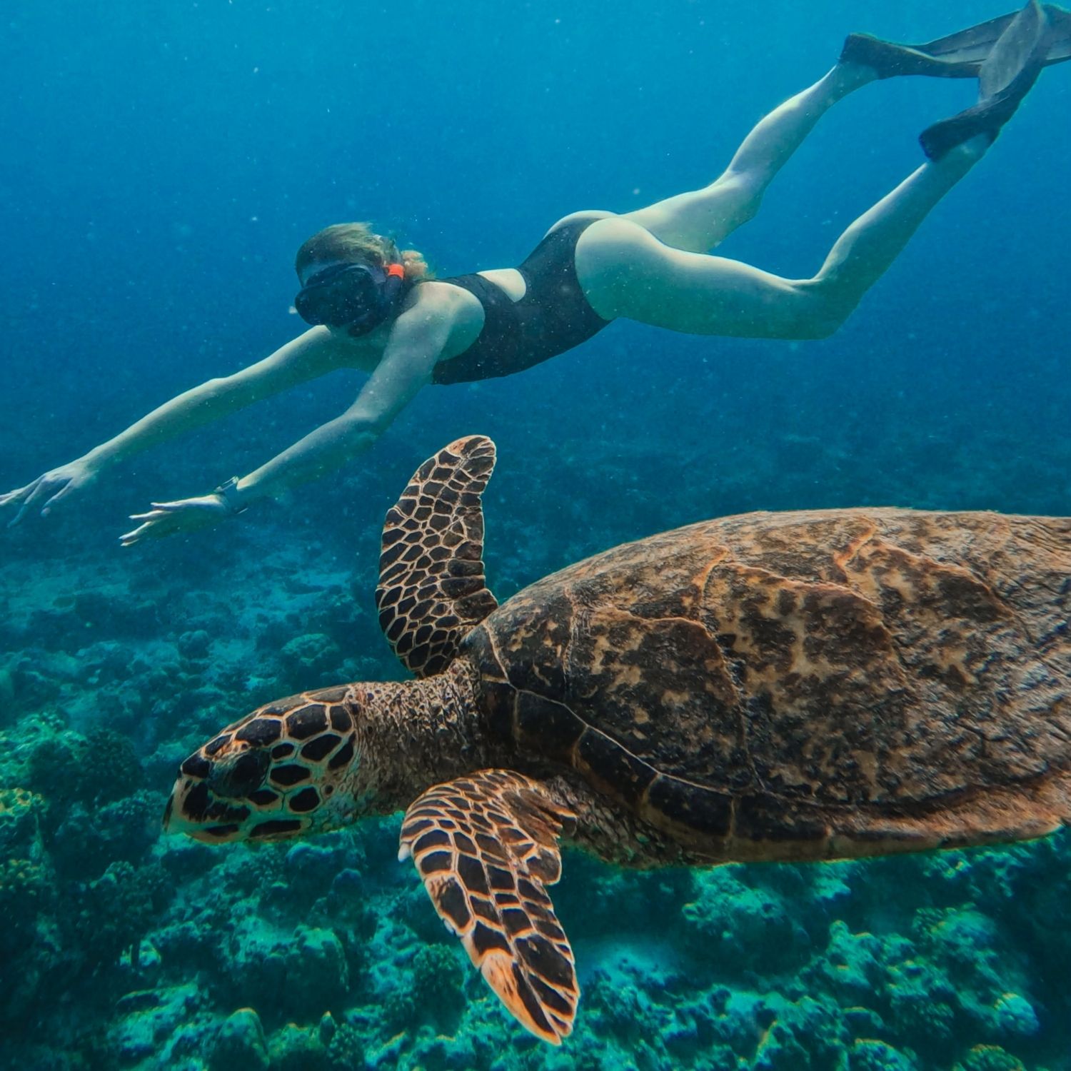Maldivi retreat